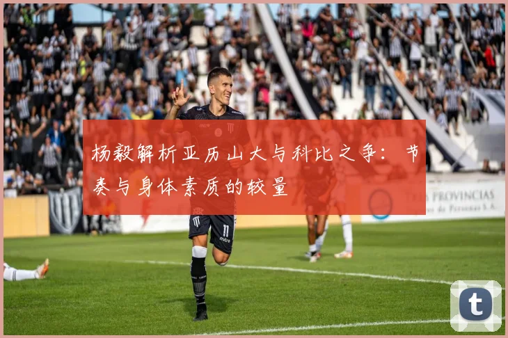 杨毅解析亚历山大与科比之争：节奏与身体素质的较量